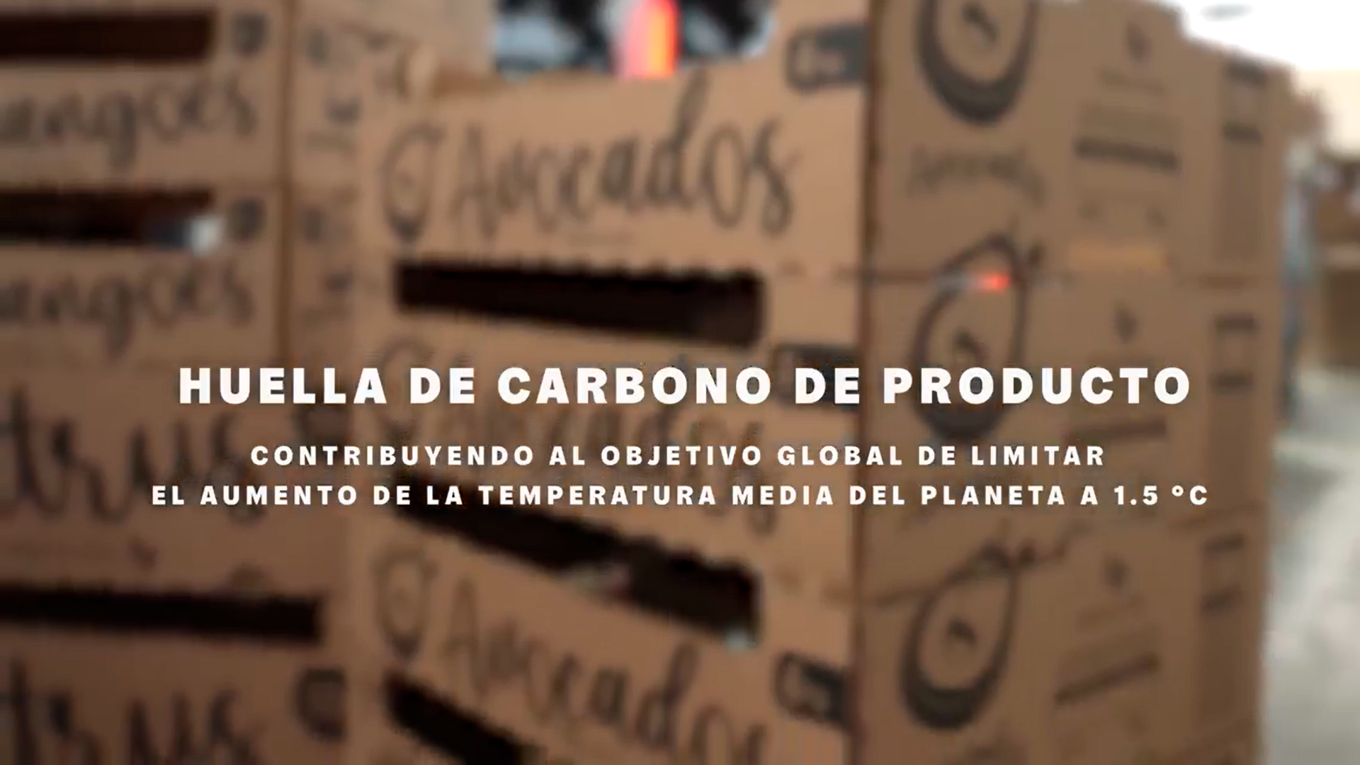 ¡Carvimsa lanza su Ruta de Descarbonización al 2050!